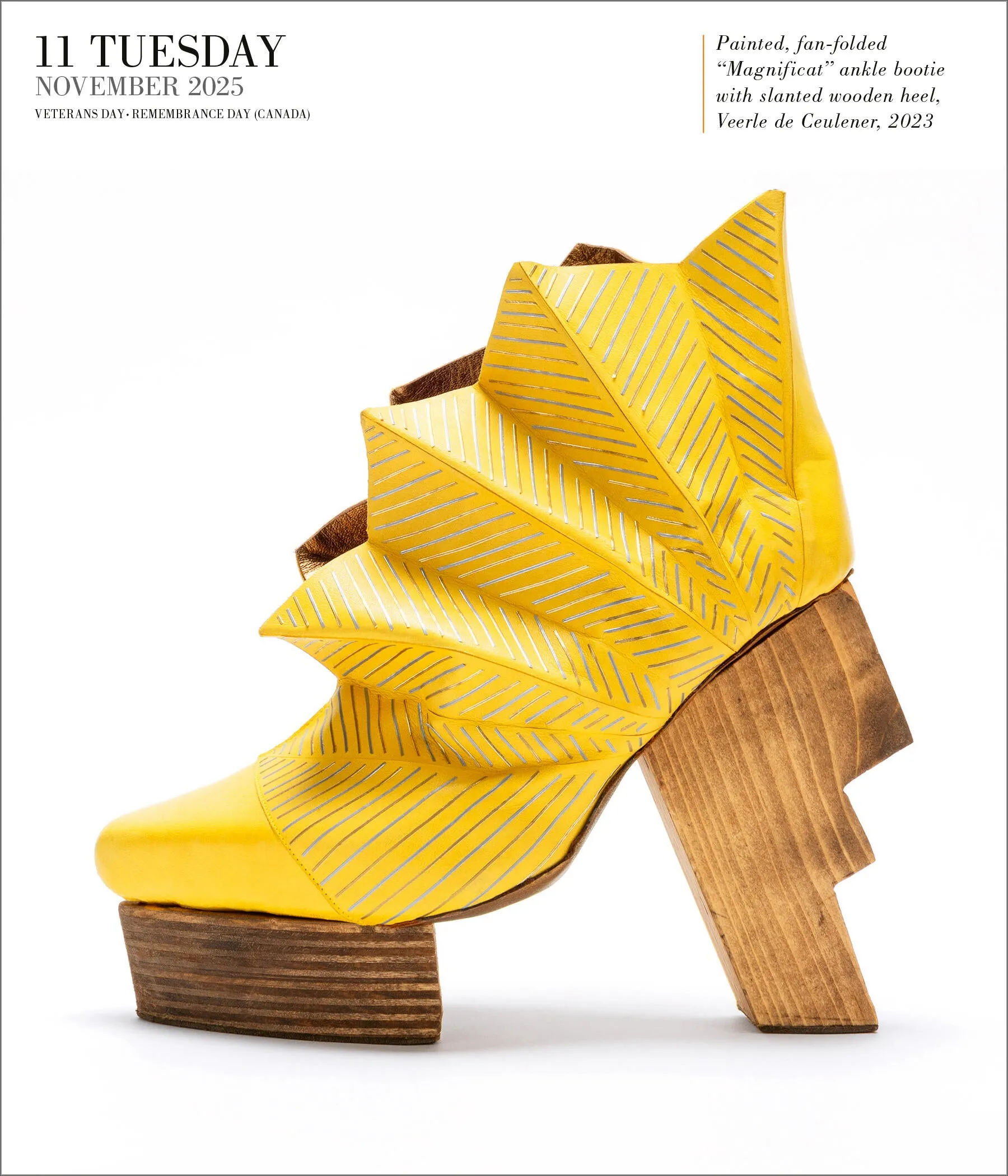 2025 Shoes Page-A-Day Gallery Calendar