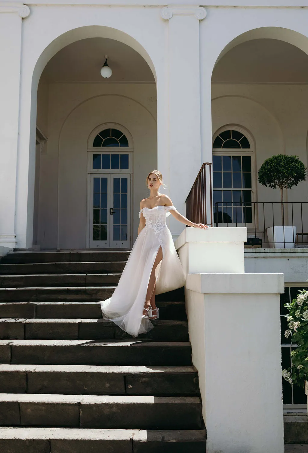 Arelia