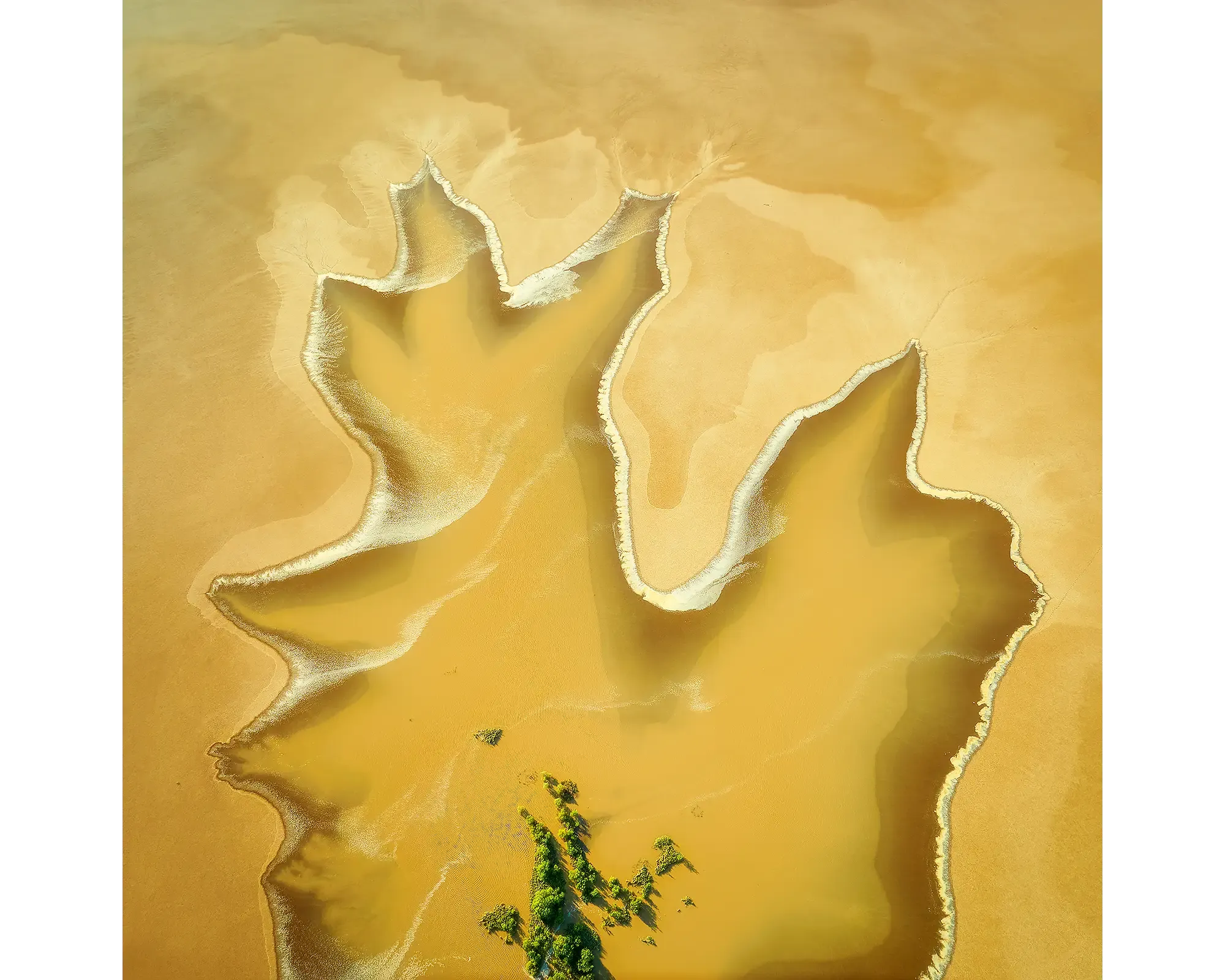 GOLDEN DERBY. Acrylic Block