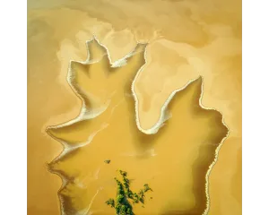 GOLDEN DERBY. Acrylic Block